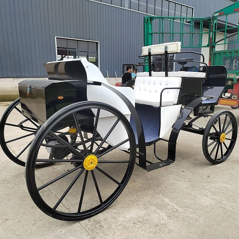 عربة كهربائية لمشاهدة معالم المدينة بصف مزدوج وستة مقاعد، عربة من الحديد المطاوع ذات المناظر الطبيعية الخلابة لمشاهدة معالم المدينة بأربع عجلات #3