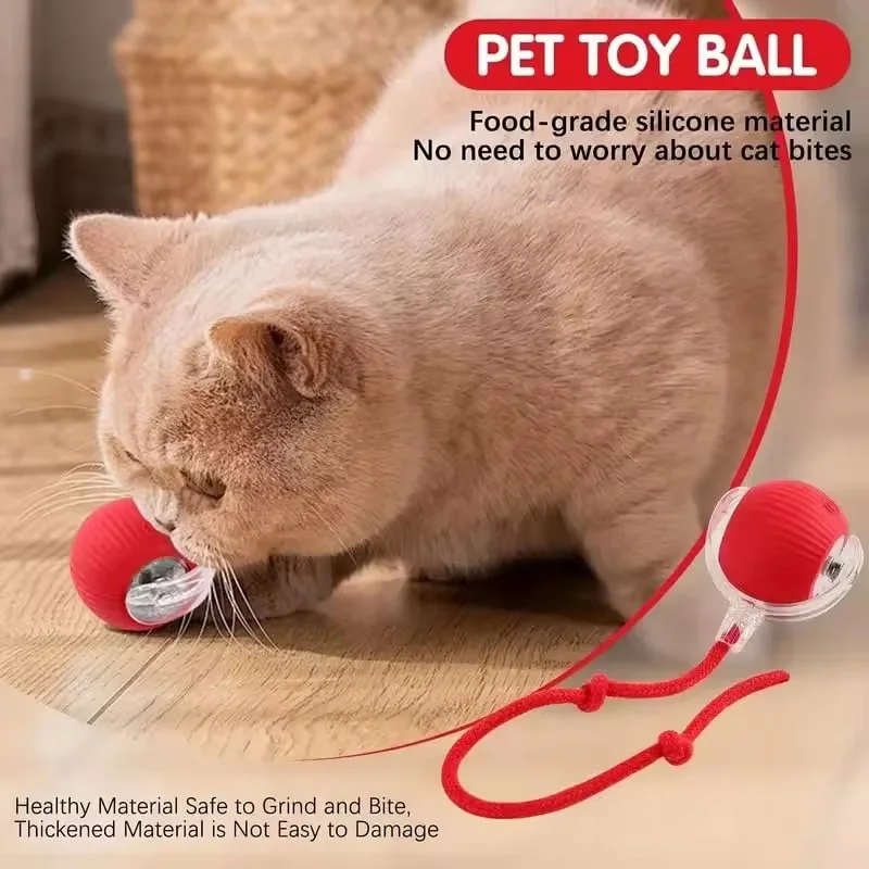 Automatic Rolling Pet Toy Ball - đánh giá và giá Automatic Moving Dog Ball