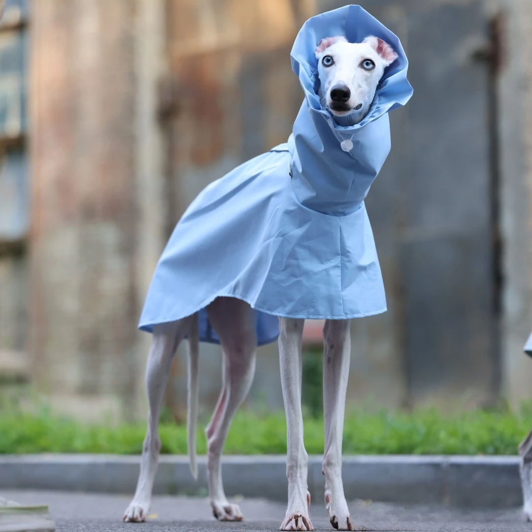 Einfarbiger Regenmantel für Italienische Windhunde und Whippets im Frühling und Sommer, Leichte, Taillenverstellbare, Winddichte Jacke für Hunde – Detail 20