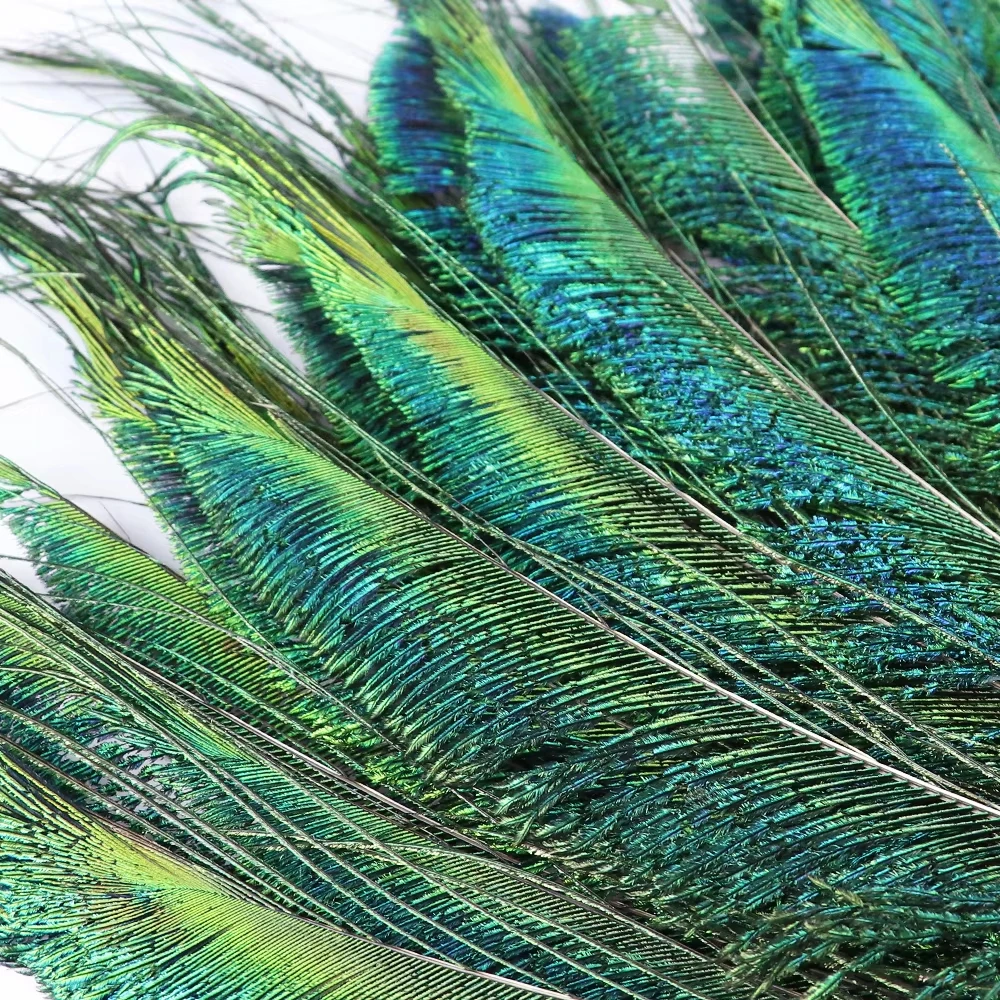 10PCS Real Peacock Feather 30-35cm for DIY Craft Jewelry Vase Table Decor Plume stage perform Wedding clothing Dress Accessories