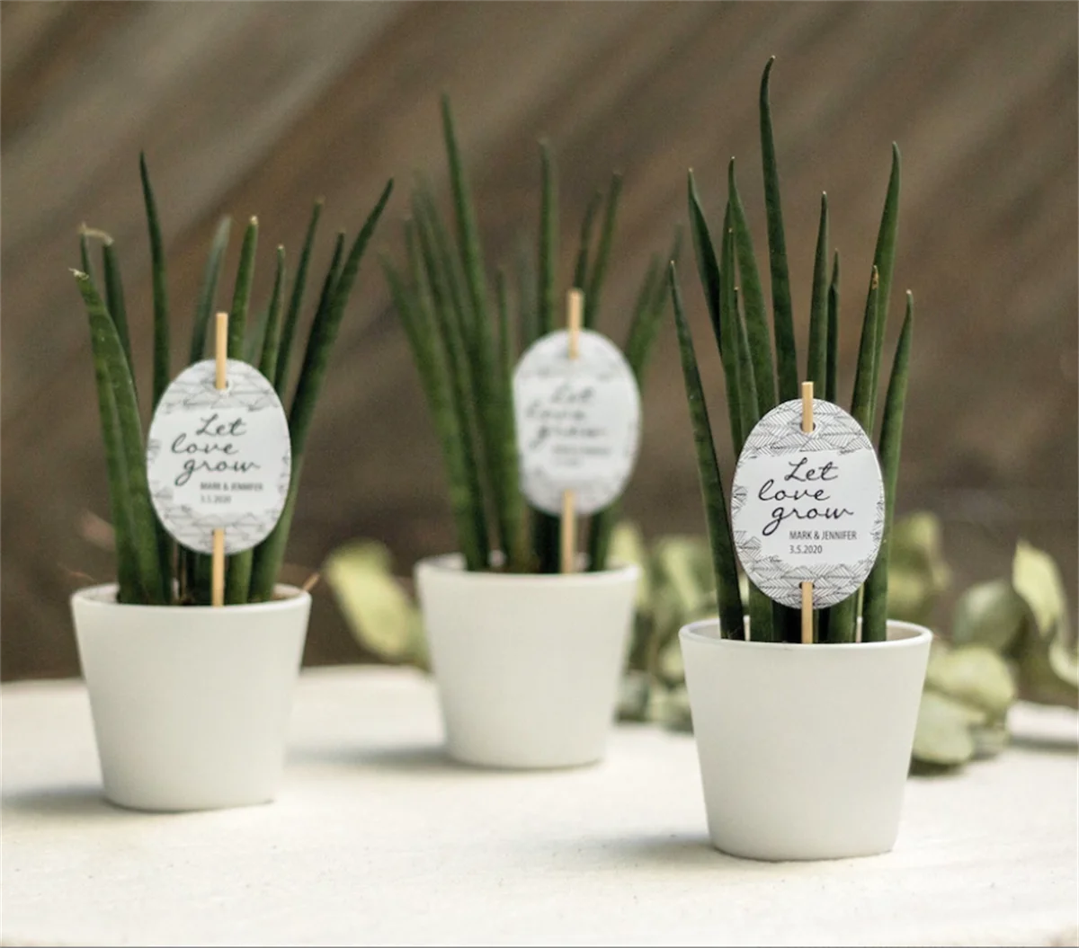 50pcs LET LOVE GROW! Personalized sign for plant favors