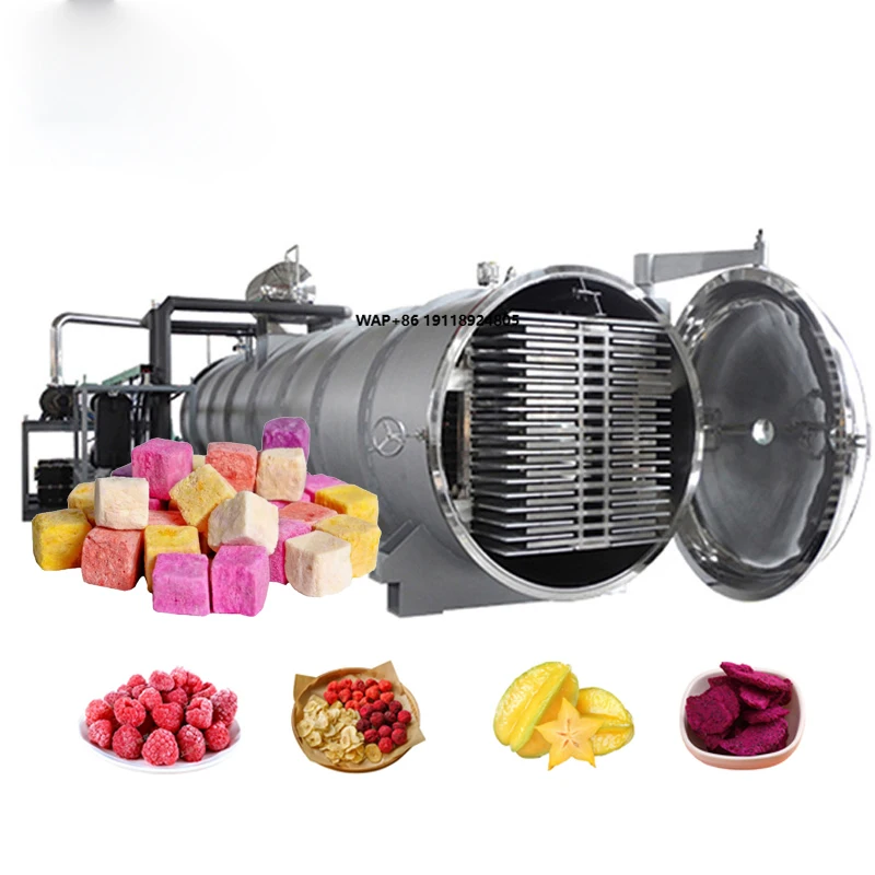 Vegetable and Fruit Vacuum Freeze Dryer