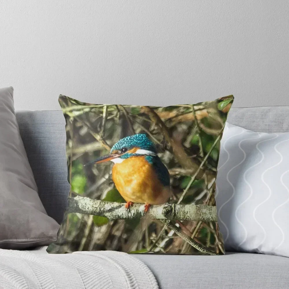 Female Kingfisher enjoying the Sun Throw Pillow christmas pillow case christmas cushions covers pillow