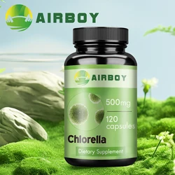 Chlorella - Natural Energy and Glucose Control - Plant Vitamins and Powerful Antioxidants