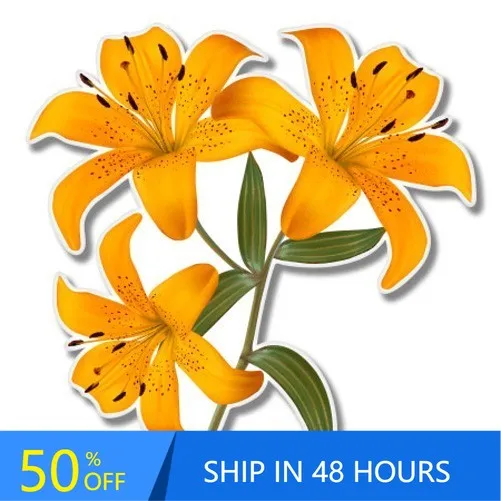 Lily Flowers Phone Vintage Truck Window Laptop Boat Waterproof Vinyl Decal Sticker Funny Cute Cool Aesthetic