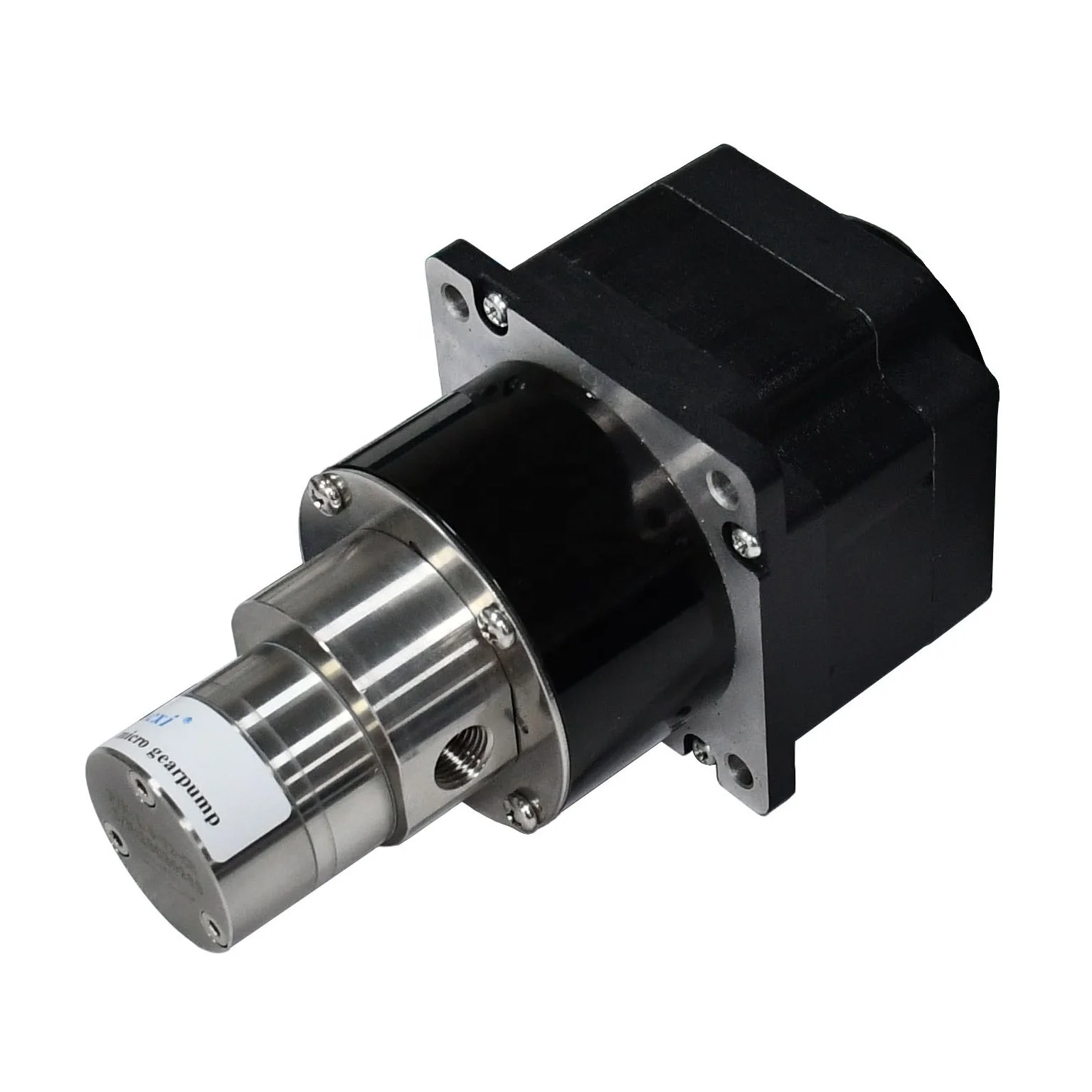 

Filling Precision Delivery DC 24V Magnetic Drive Gear Pump for Fuel and Oil Delivery M1.50S72BL170W