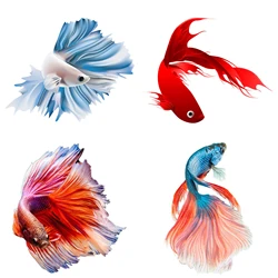 Pretty Fish Sticker, Toilet Lid Stickers, Water-proof Animal Decal, Used for Toilet, Bathroom, Wall, Car, Laptop,