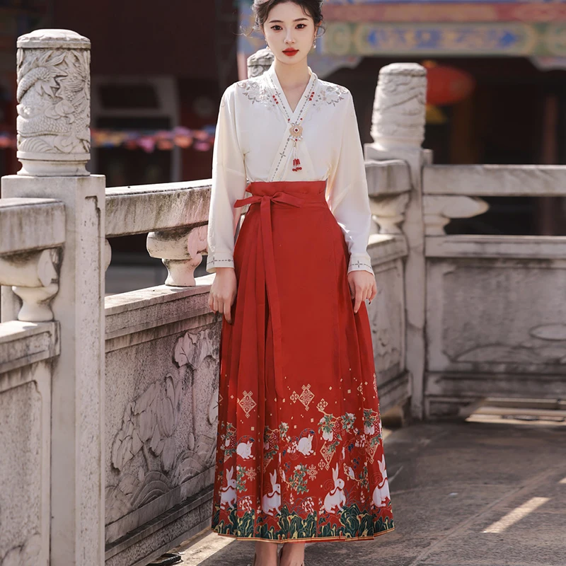 Vintage Hanfu Horse Face Skirt Women Chinese Traditional Hanfu   Pleated Skirts Ming Dynasty Retro Jacquard  Hanfu Fairy Dress