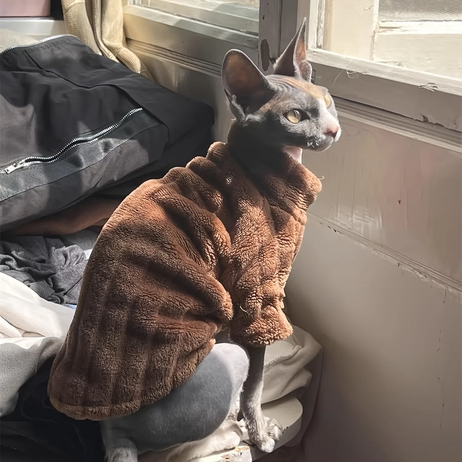 Suéter de gato Sphynx, camisa suave de dos patas para bebé, para gato sin pelo, suéter cálido de Color sólido para invierno, ropa para gatitos y mascotas
