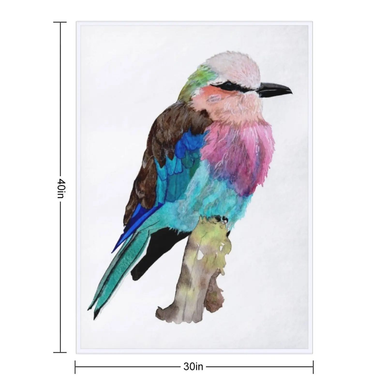 Lilac Breasted Roller Bird Throw Blanket Single Camping Stuffeds anime Hair Blankets