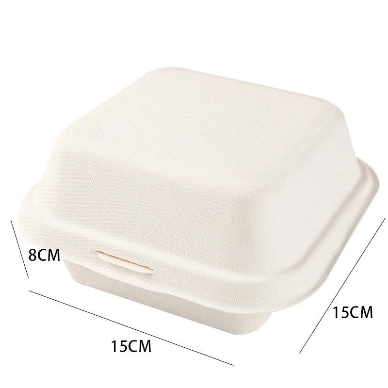 10pcs Biodegradable Bento Box Cake Case Disposable Hamburger Package Boxes Hand-painted Take-out Storage Food Mini Container