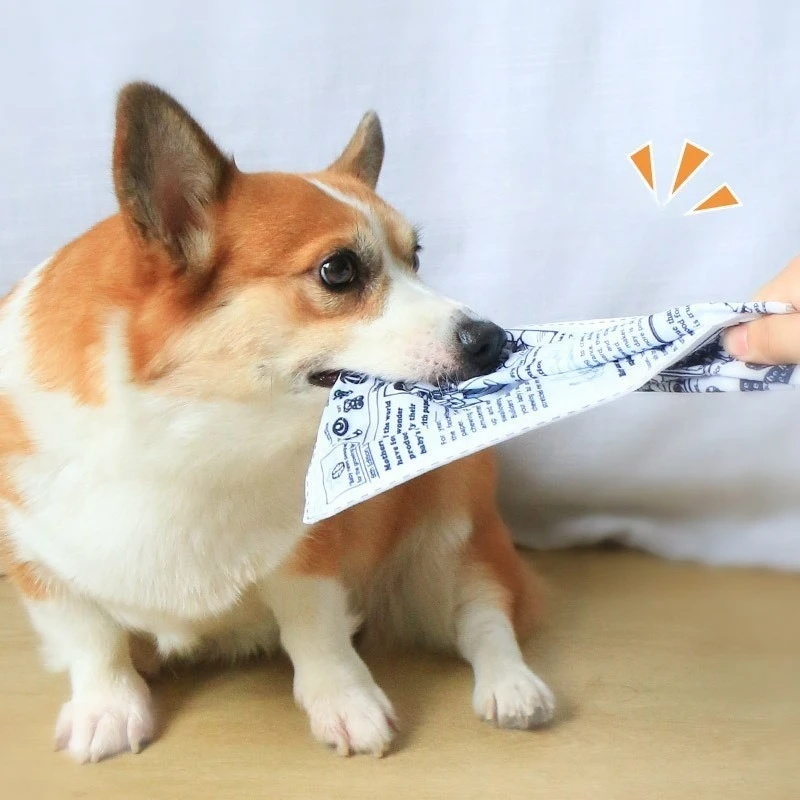 Thumbnail 2 - #65 Best Puppy Chew Toys to Buy In 2026