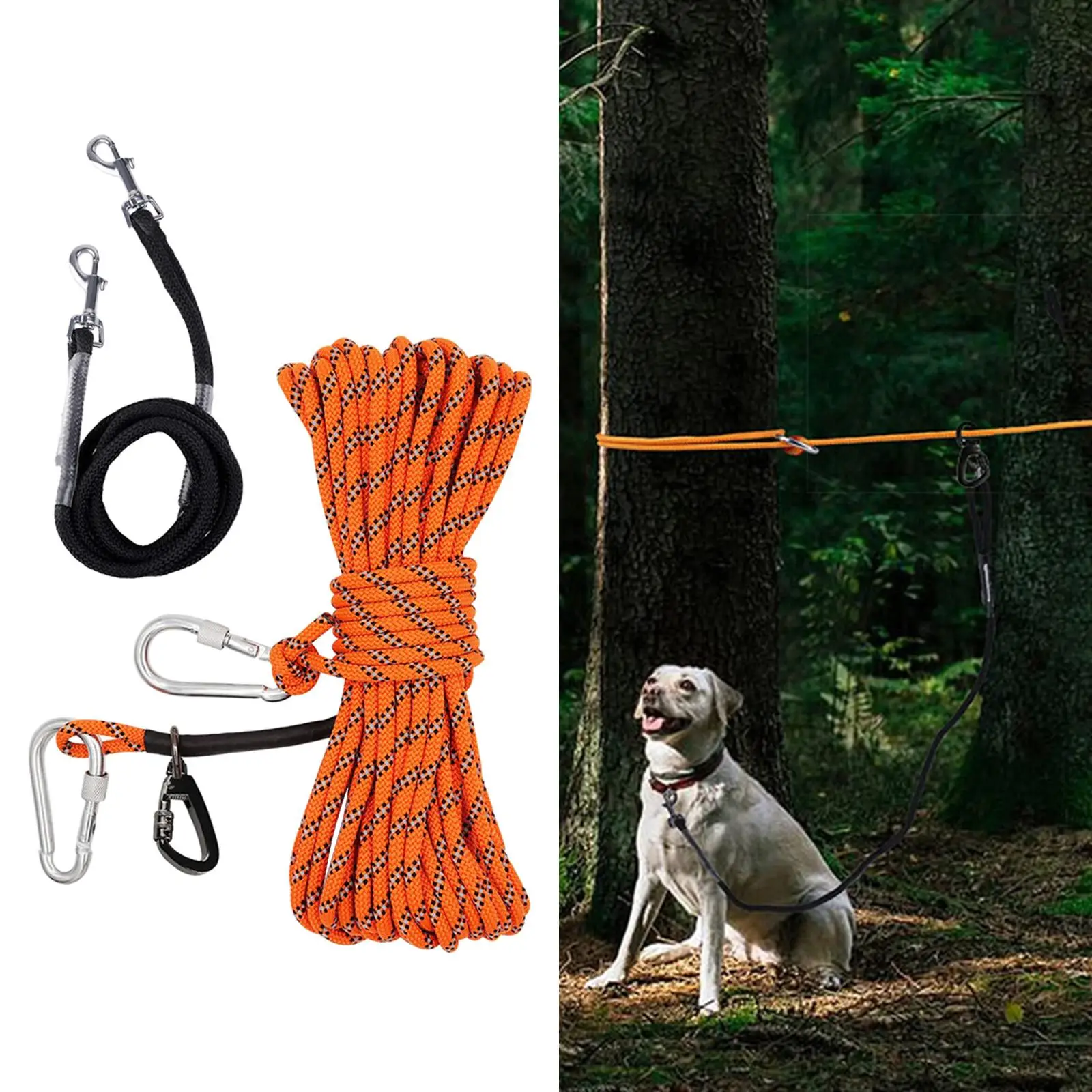 Portable Puppy Trolley Runner Cable 50ft for Outdoor Use Yard Camping Forest Nylon Tie Out Rope Kit with D Ring and 360 Degree