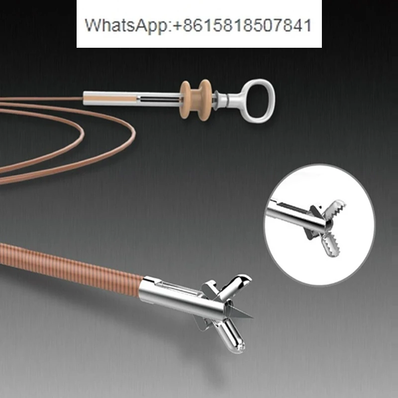 Disposable Endoscopic Sampling Biopsy Forceps Endoscopic Gastroscopy Bronchoscope Digestive Tract Biopsy Forceps