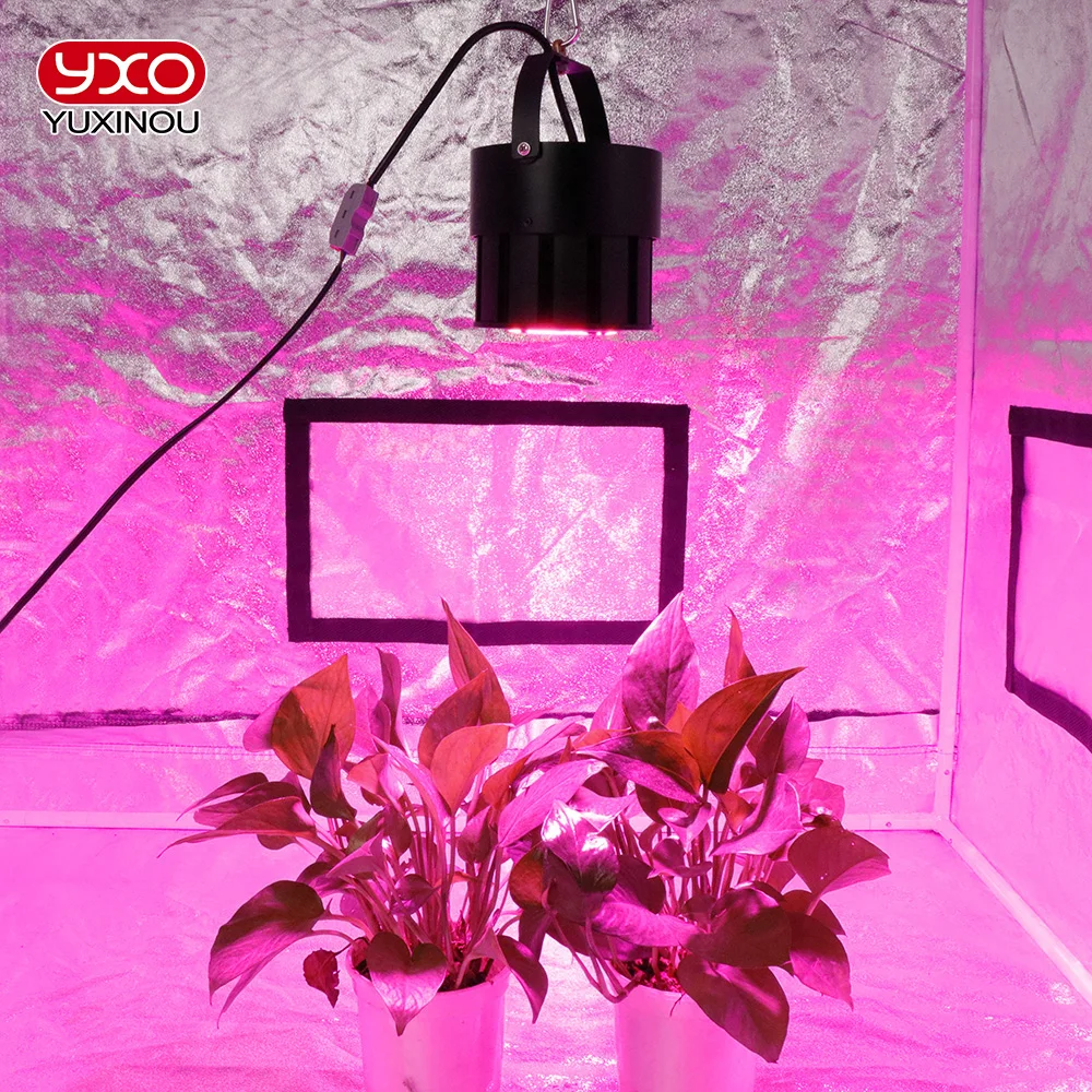 1000W Full Spectrum COB LED Grow Light Phyto Lamp for Hydroponic Indoor Plants Flowers Greenhouse Seedlings Growth Light