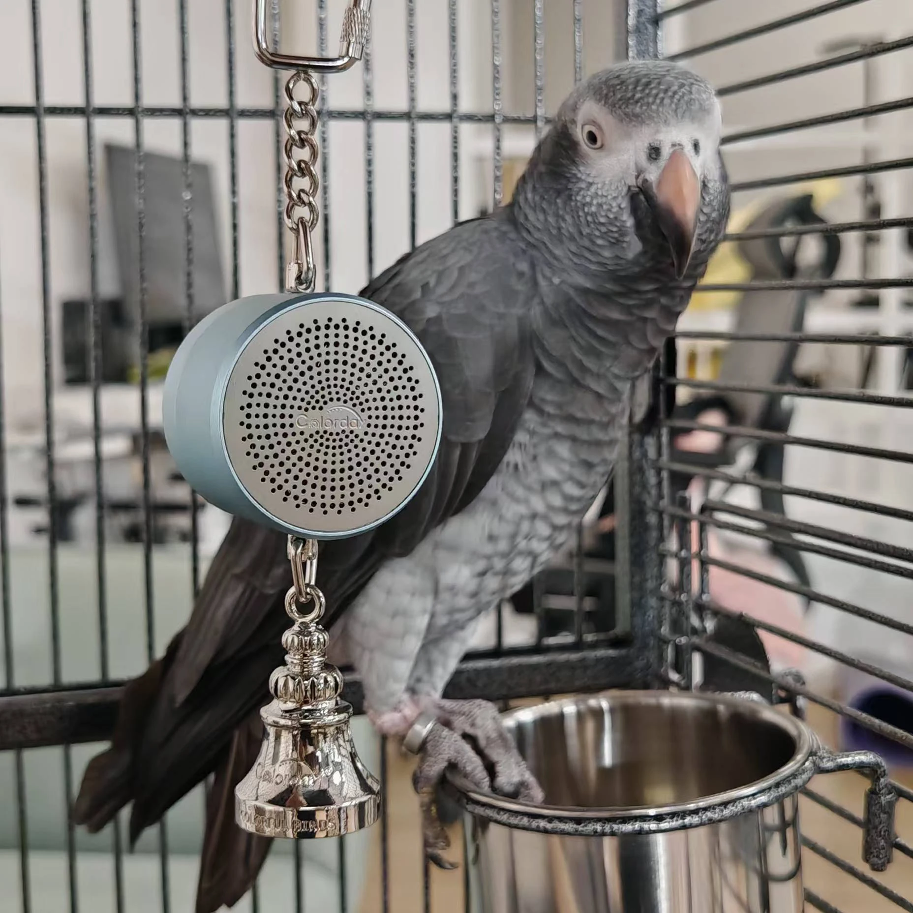 Parrot Toys to Teaching Training Bird Talking Coach Interactive Recording Playback Retell Electronic Voice Chewing Tearing  Bell