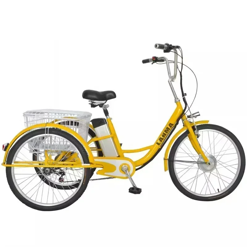 Electric Tricycle 24Inch FatTire Adult 300W48V12AH Removable Battery Electric Bicycle Large Storage Basket Leisure Elderly Cargo