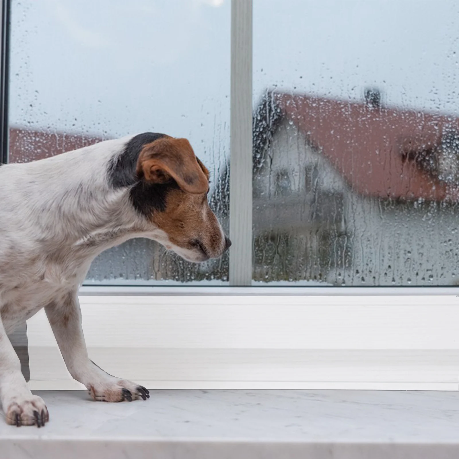 

4Pcs Transparent Window Sill Protectors Clear Pet-Friendly Scratch Proof Covers Dog Claw Safety Pads Pet Window Guard