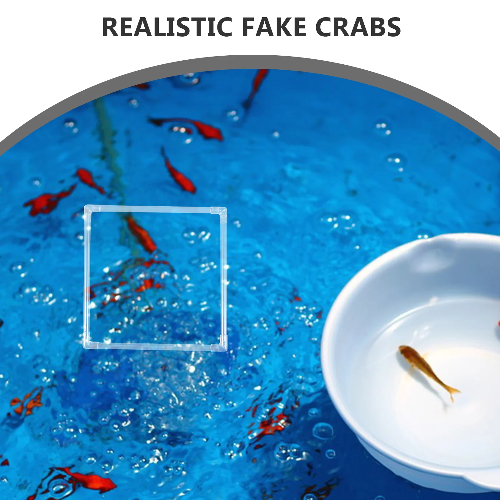 

Fish Feeding Ring Tank Accessory Aquarium Accessories Floating Decorations PC Décor