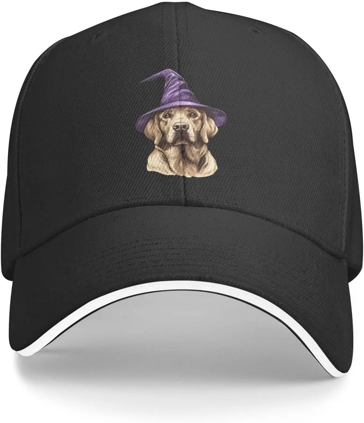 Unisex Adult Baseball Caps, Adjustable Sandwich Cap Labrador Retrievers Print Hip Hop Hats Fishing Hat