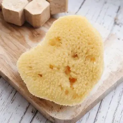 اللوحة المائية الفن الإسفنج الكتابة على الجدران Diy أداة للرسم الحرفية الإبداعية تعلم الألوان أشكال عشوائية #6