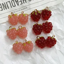 2 PCs 3D Fruit Charms Grape Fruit Gold Color Resin Pendant For Earring Bracelet Necklace Jewelry Making Findings 15mm x 11mm