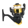 Dorado