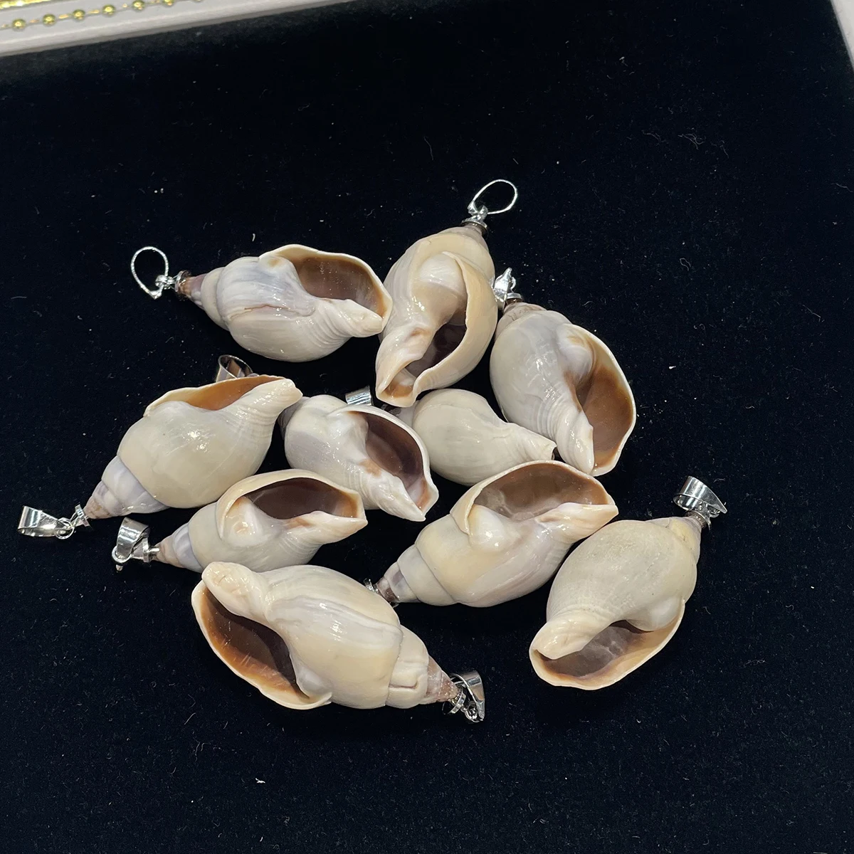 10Pcs/set Natural Conch Shell Pendants Snail Shell Ocean Seashell Charms DIY Necklace Jewelry Making Craft Supplies Accessories