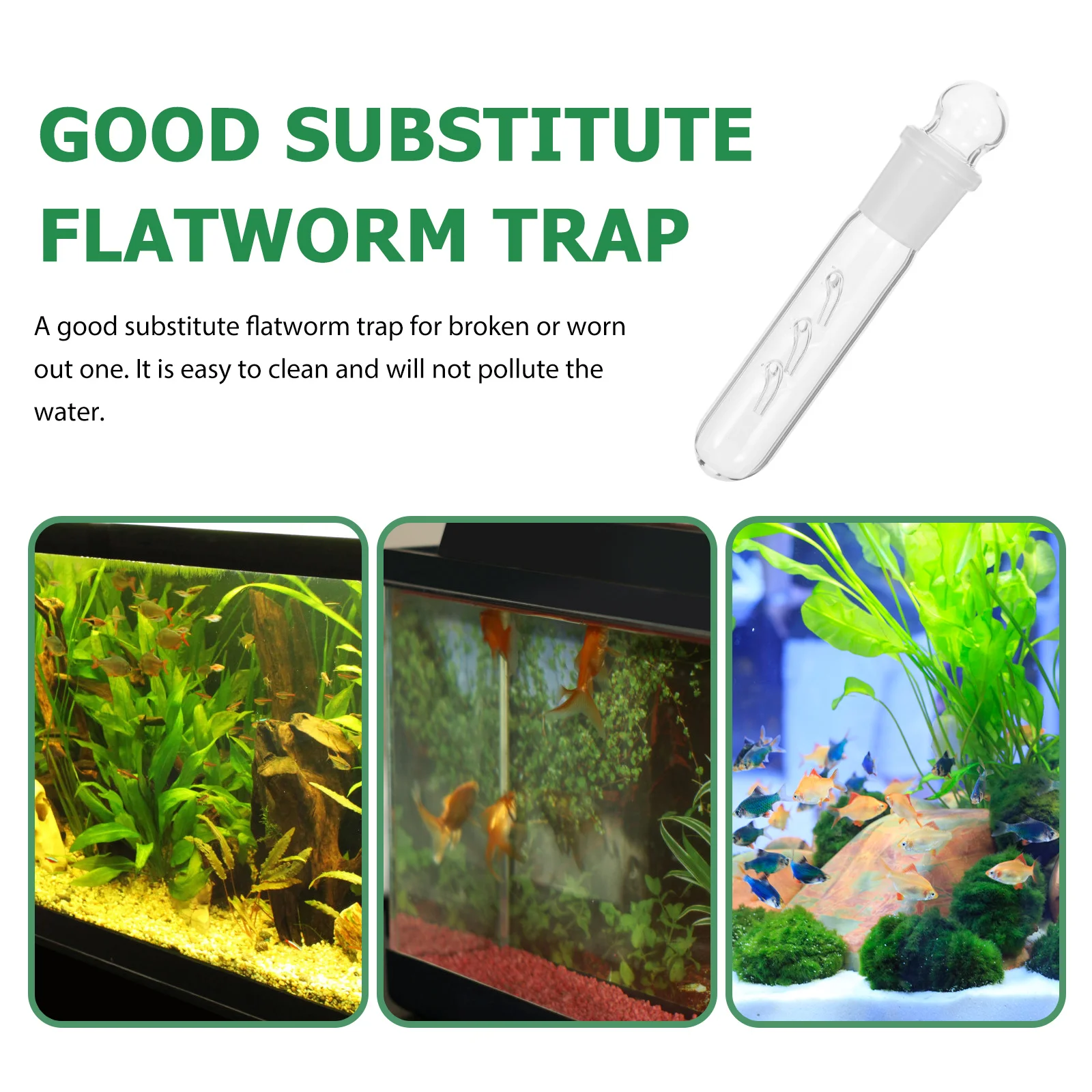 

Fish Tank Snail Trap Glass Flatworm Catcher Aquarium Planaria Removal Trap Natural Aquarium Supplies Fish Tank Worm Catcher