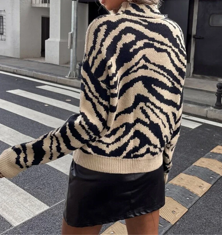 Zebra Knitted Fashion Round Neck Long Sleeved Warm Loose Sweater Autumn Winter New Street Hippie Clothing for Women