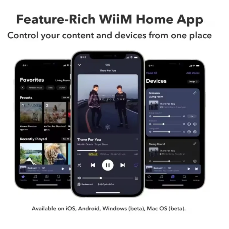Wiim Amp Pro All-in-One Streaming Media Digital Decoder And Power Amplifier HiFi Lossless Audiophile Player