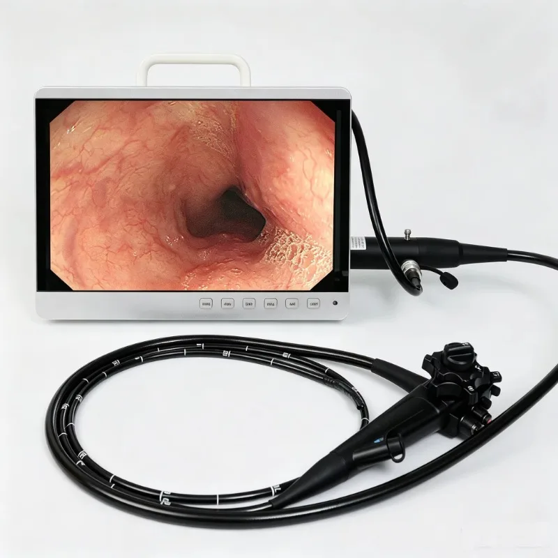Veterinary endoscope with forceps, reusable LED lamp high definition, portable dog gastrointestinal endoscope