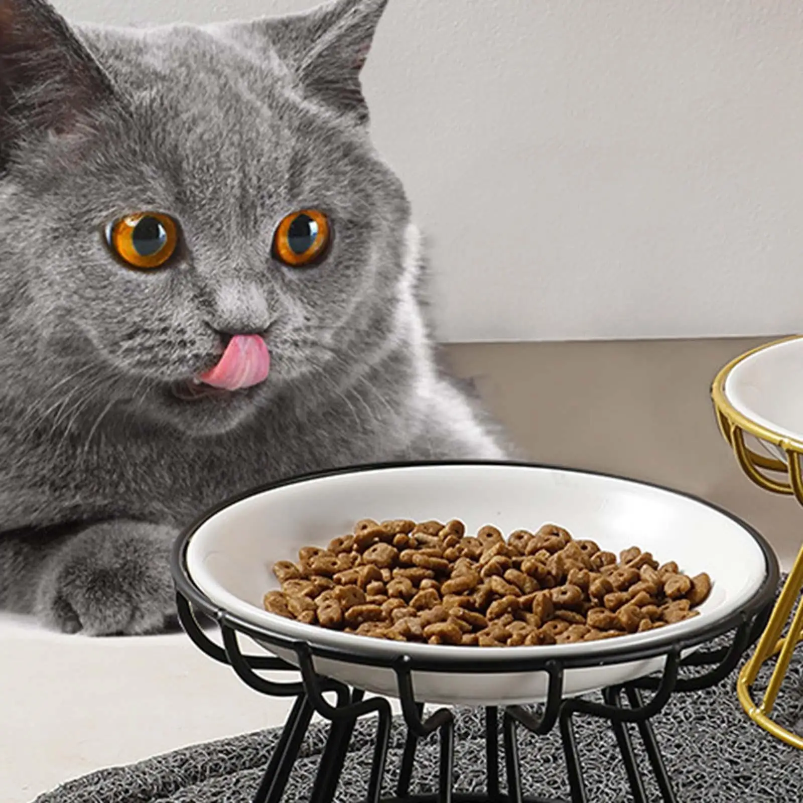 Portable Elevated Ceramic Dog Cat Bowl with Iron Stand Detachable Feeder for Pet Food Water Cervical Care Indoor