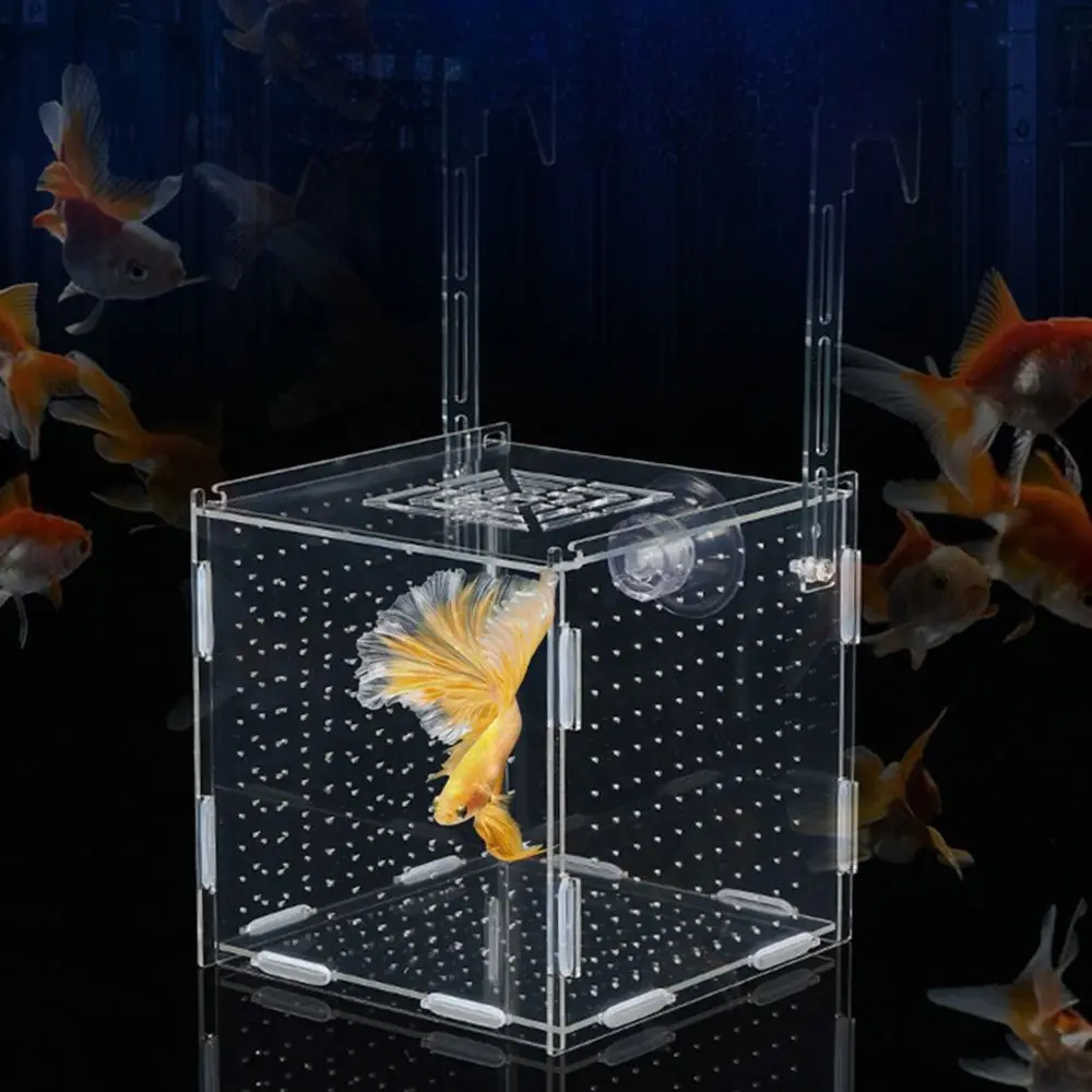 1PC Small Fry Aquarium Isolation Box Spawning Hatching Hatchery Divider Fish Breeding Box Acrylic with Hook