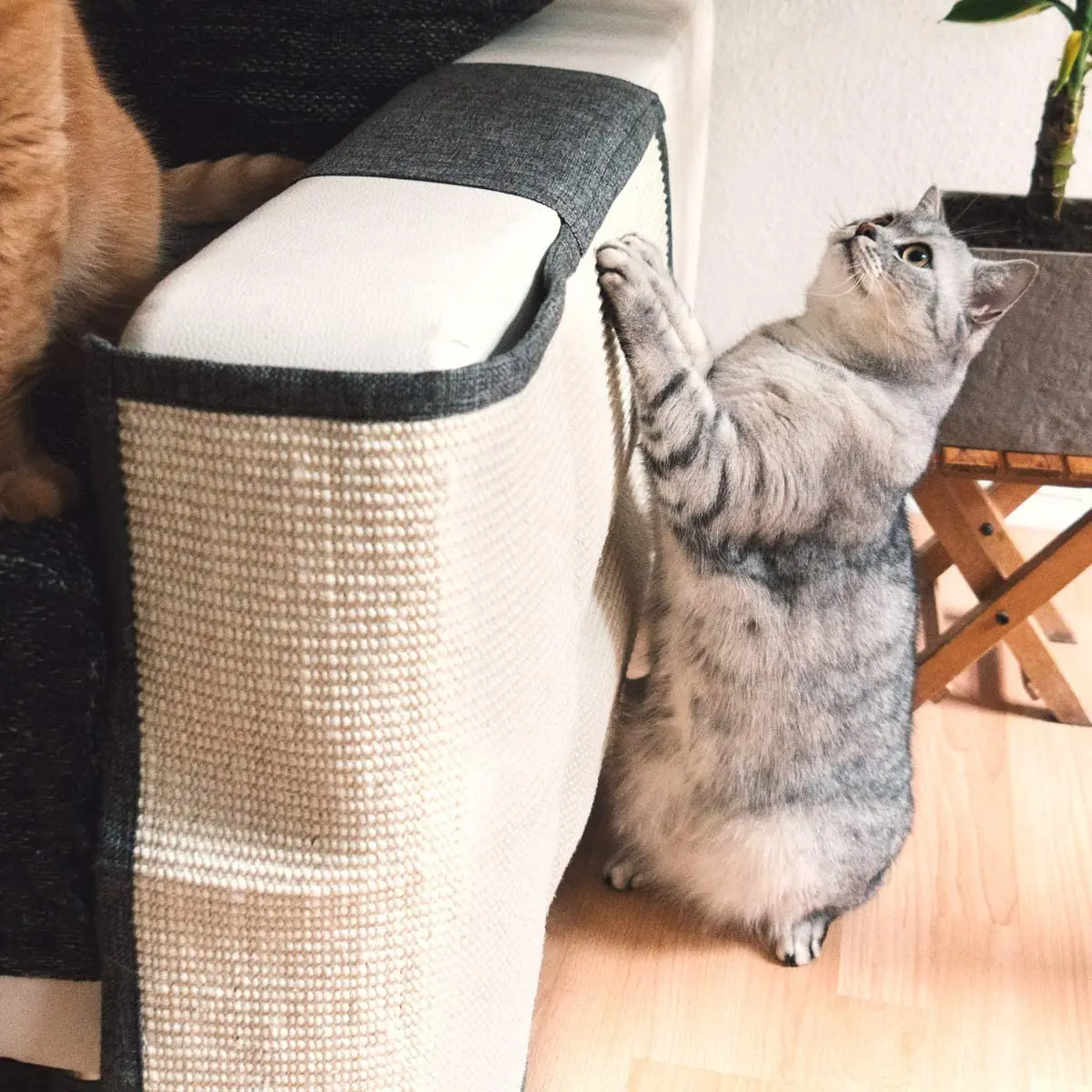 Natural Sisal Cat Scratch Mat Sofa Couch Furniture Protector Scratching Pad for Cats Pet Scratch Shield