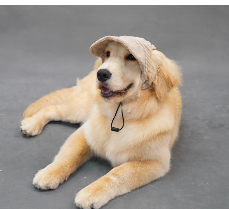 Large Dog Hat Border Collie Samoyed Husky Labrador Golden Retriever Belgian Malinois Dobermann Big Dog Caps sunhat