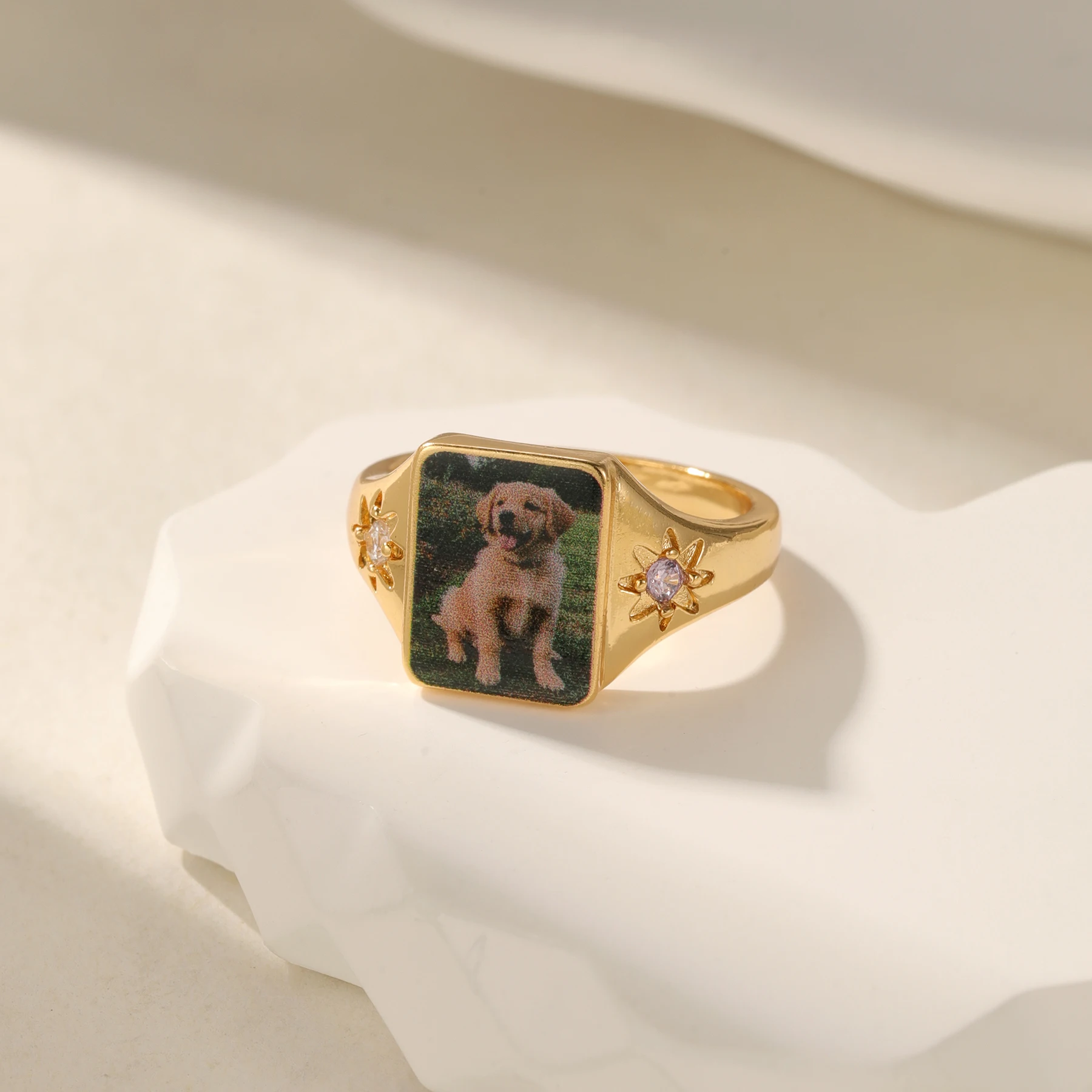 3D Color Printed Pet Portrait Ring Star Studded Diamond 18K Gold Plated Stainless Steel Custom Cat Dog Memorial Jewelry Gift