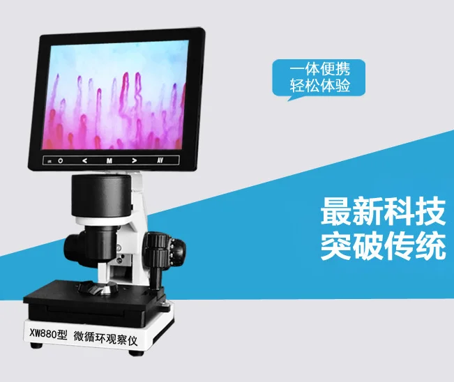 

Детектор микроциркуляции Lvkang, высокое разрешение X W-880, складной наконечник для ногтей, кровеносное сосуд, наблюдение за скоростью потока и анализ