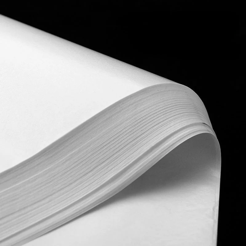 Fotografia 5: 1000 Folhas de Papel Tissue Branco Quadrado 17gsm, Papel à Prova de Umidade Sydney para Embalagem de Frutas, Roupas, Sapatos e Presentes