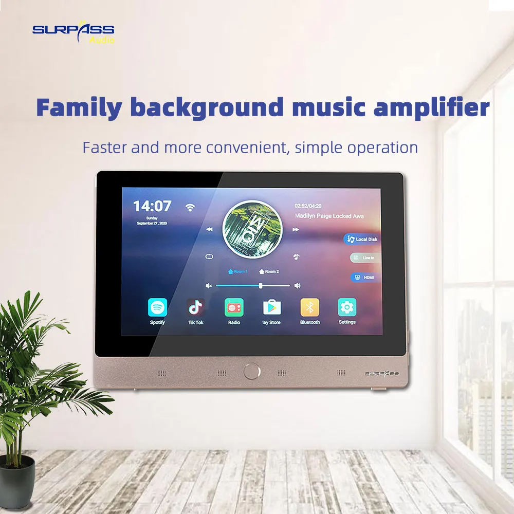 Good Sound  7-inch Smart Hi-Fi Wall Amplifier Dual Room Partition Volume Control for Multi-room Background