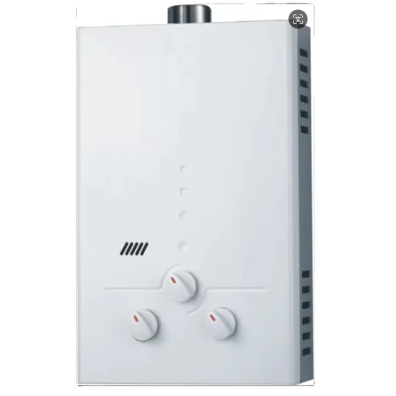 

6L/10L/12L/20L/24L/32L Flue Type Gas Water Heater Tankless Hot Water Heater Indoor Use Power Paint White Color