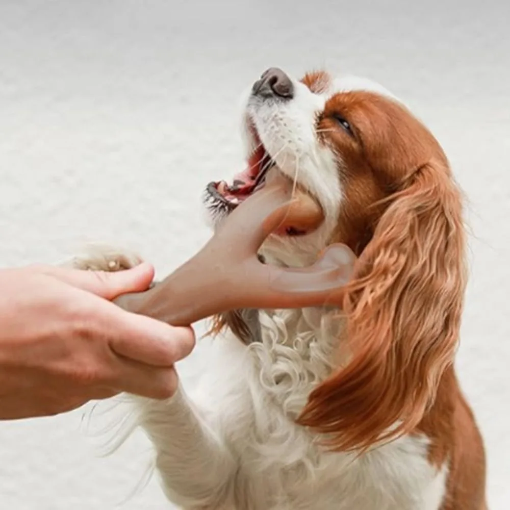 Jouet à mâcher en forme de Y pour chien, bâton de dentition en Nylon résistant à l'usure, résistant aux morsures marron, jouet interactif d'entraînement pour animaux de compagnie, chiot