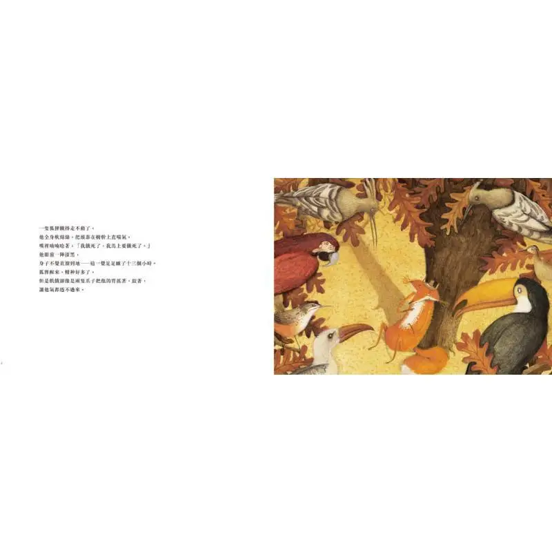 Foxes Hatch Eggs Sun Qingfeng Publicación paso a paso 9789579380485 Libro