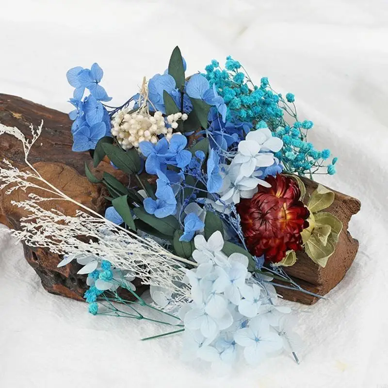 

F62D Delicate Dried Flowers Material Natural Handicrafts Wedding Ornament 10Colors
