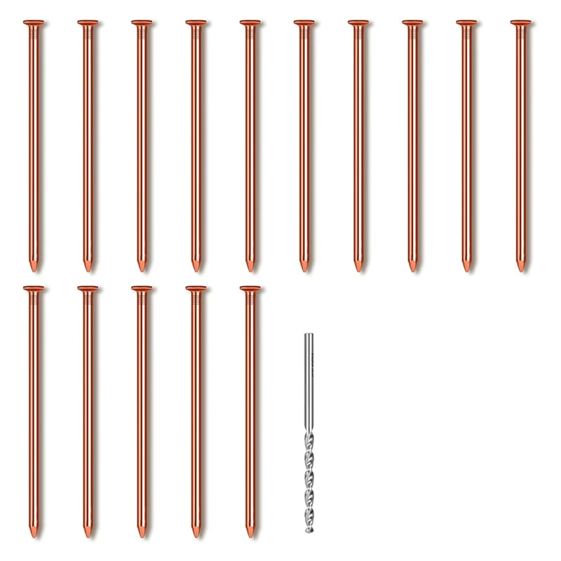 15Pcs Copper Nails For Killing Trees Stump Root, 3.14 Inch Long Pure Copper Nails With Drill, Stump Removal Spikes