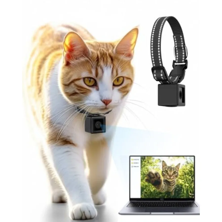 

Ошейник для камеры для кошек 1080P HD Запись видео Pet POV Cam Без Wi-Fi Без приложений Мини-экшн-камеры для кошек Собаки Отслеживание без Micro SD Ca