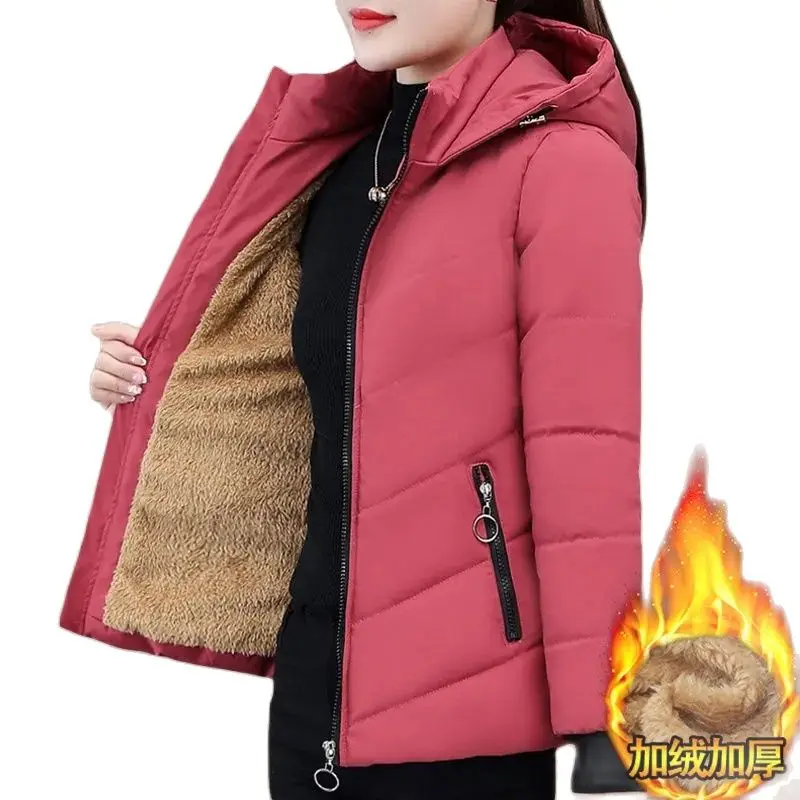 Doudoune matelassurera en velours pour femme, manteau à capuche chaud pour femme, coton, sourire, M- 5XL, dames, mode, hiver, nouveau, 2023