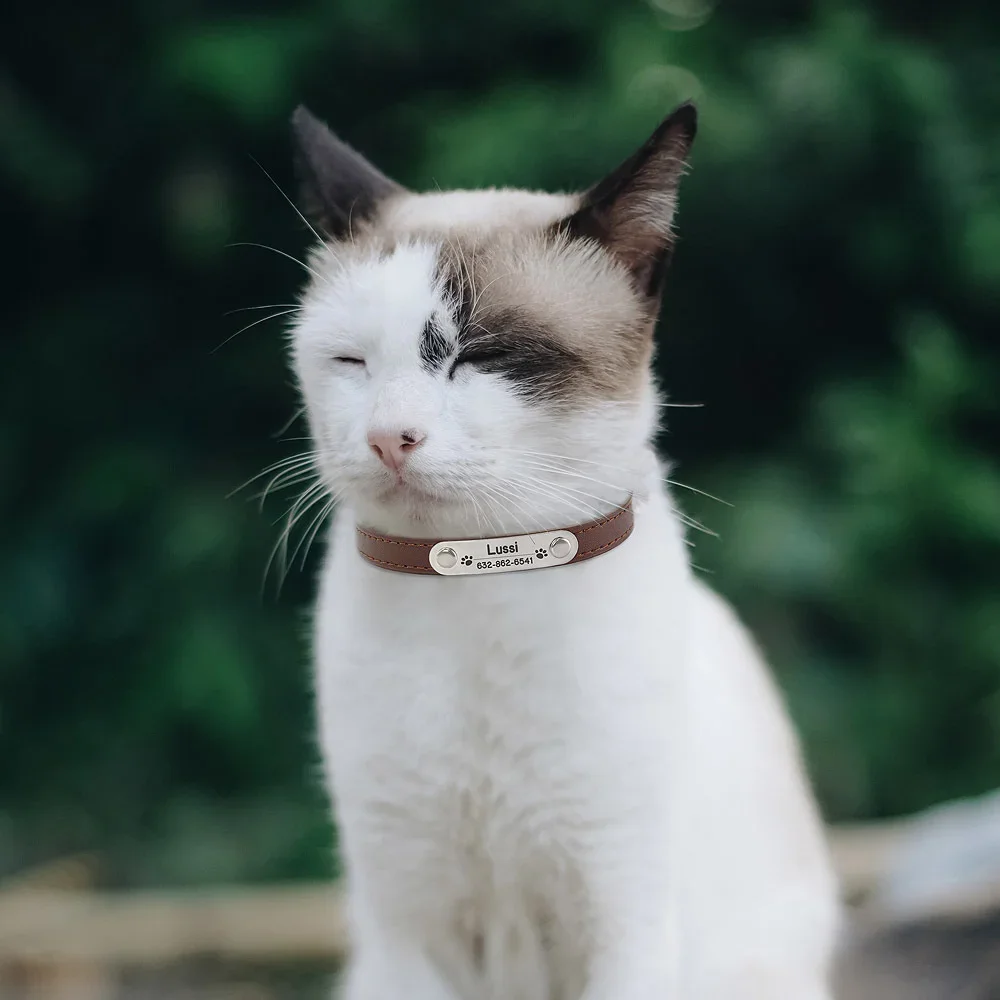 Op maat gemaakte halsband met naam gegraveerde identiteit Anti-verlies massief pu-leer voor alle soorten puppy's en kittens Huisdierbenodigdheden