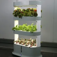 2023 New arrival indoor smart garden hydroponic intelligent vertical farming home hydroponic growing systems