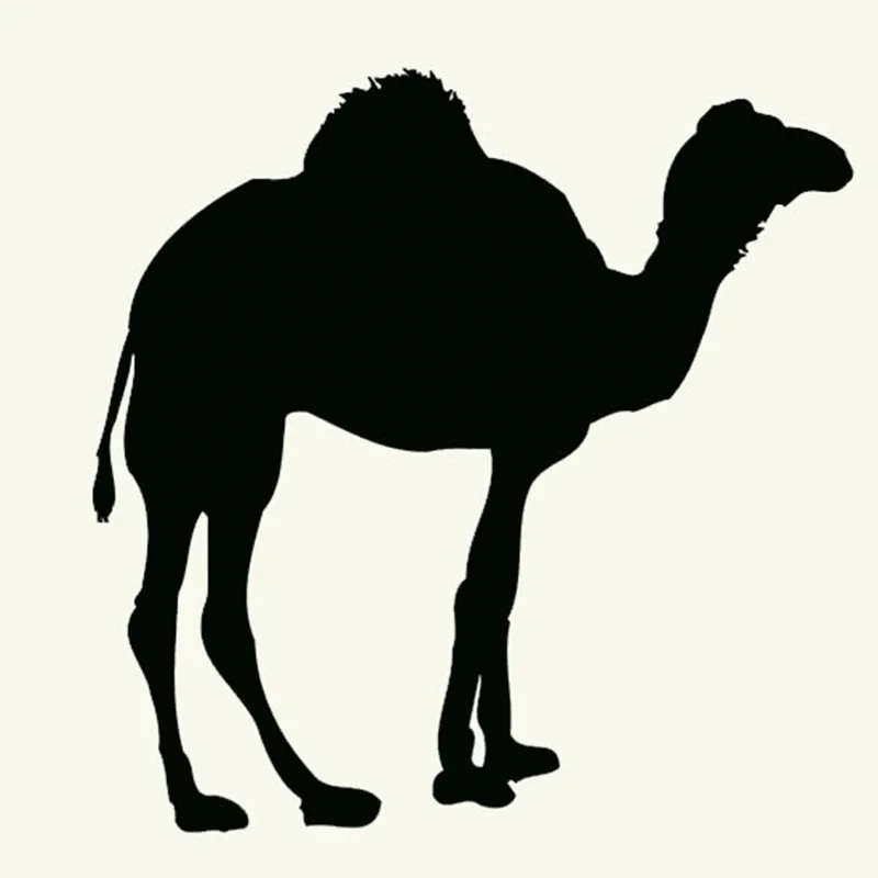 

Cute wild animal camel shaped car window bumper motorcycle accessories decoration vinyl decal 13 * 11cm